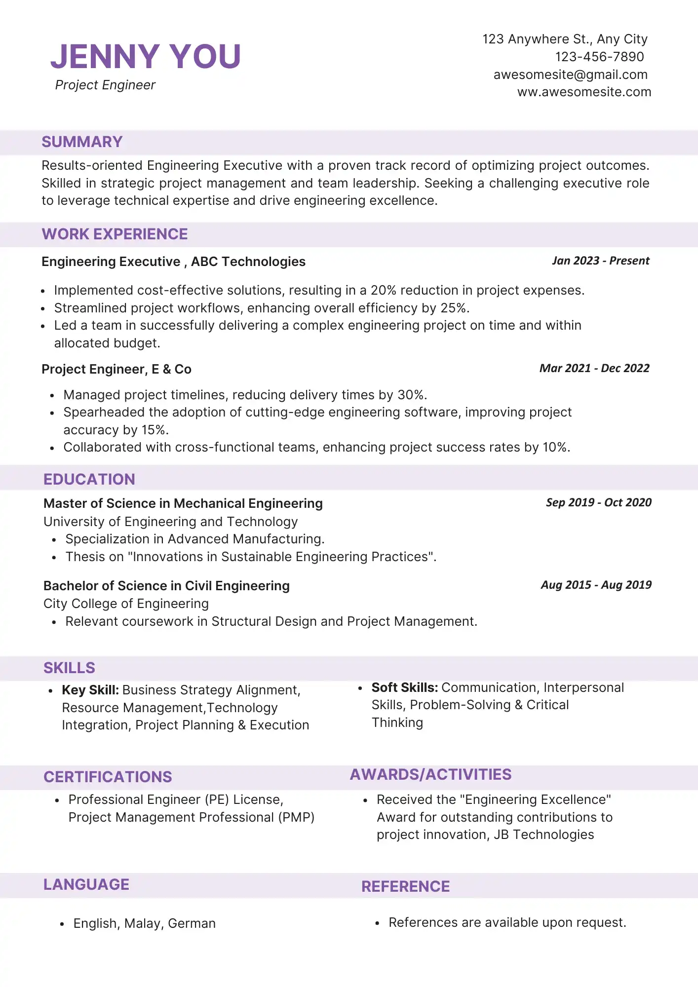 Design - Professional Template (2)